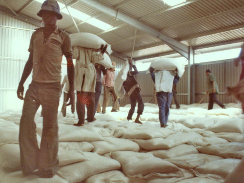 Ethiopian Grain Store Project
